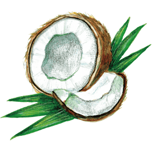 ドクターブロナーのこだわりの成分 オーガニック ココナッツオイル（ヤシ油）