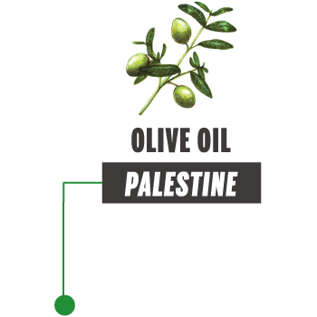 PALESTINE