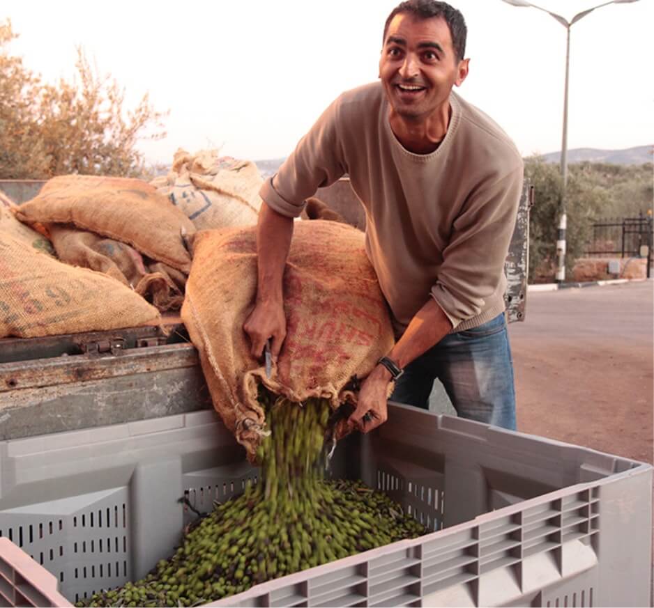 ドクターブロナー　フェアトレードプロジェクト　パレスチナのオリーブ油生産者