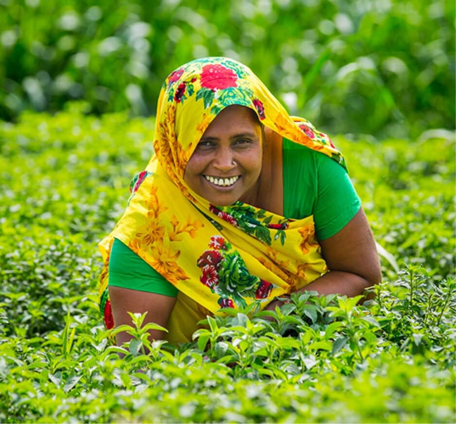 ドクターブロナー　フェアトレードプロジェクト　インドのミントオイル生産者